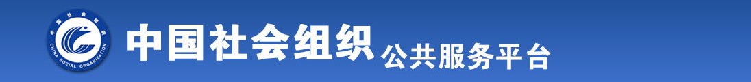 操小浪bb全国社会组织信息查询